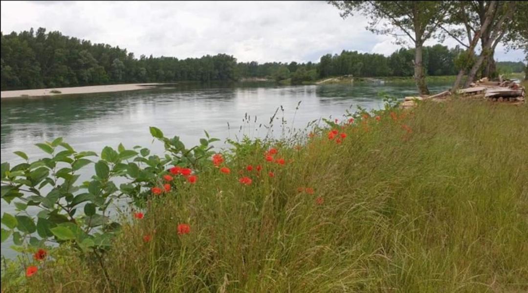 Appartement Drava 1 Donja Dubrava Eksteriør billede